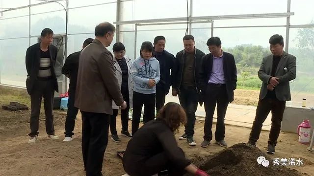 丁司壋鎮組織參觀蔡河鎮瓜蔞種植基地_雲上浠水