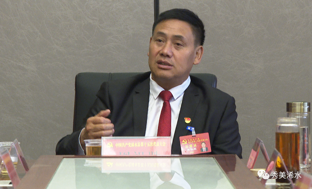 付宇,陈正红等参加代表组联组,分组审议_云上浠水