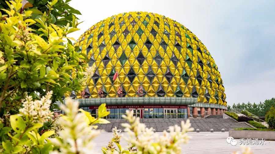 【看直播】浠水杂技来袭,快来一饱眼福!_云上浠水