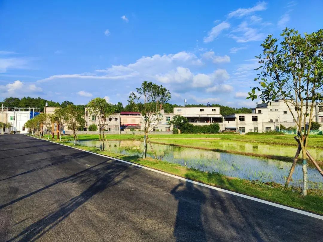 【共同缔造】蔡河镇太平桥村:五共五聚共同缔造幸福生活_云上浠水