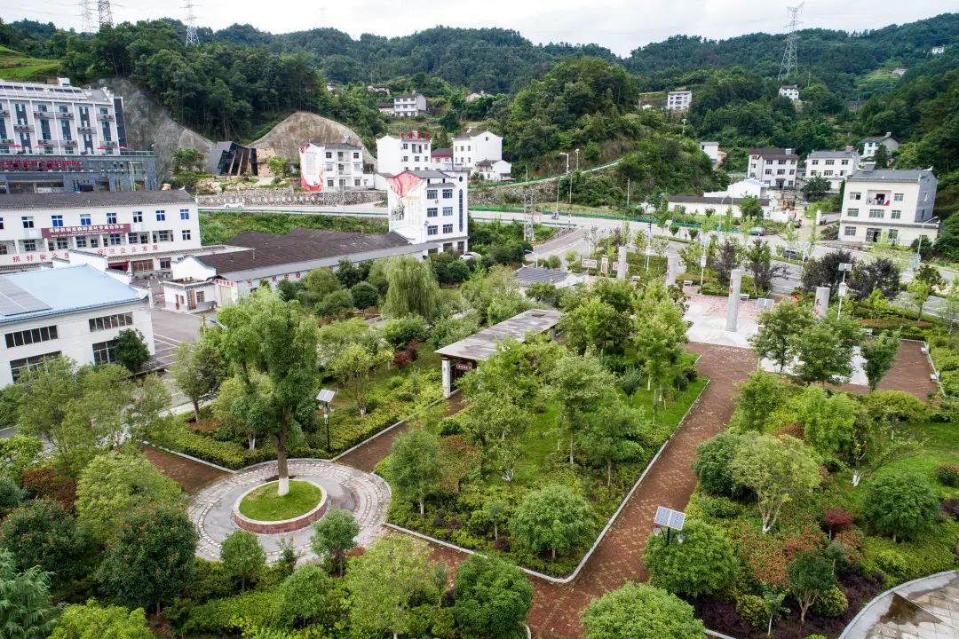 点击查看图片来源 图片