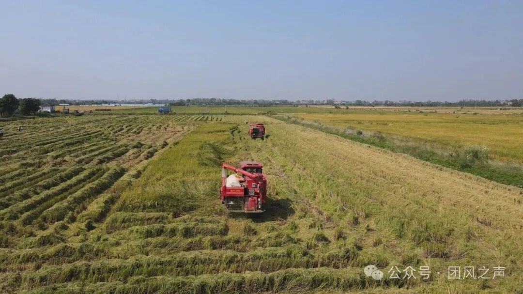 DJI_0038.MP4_20251011_152743.165.jpg