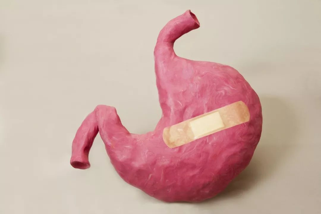 荐读胃真的会越撑越大越饿越小没想到真相竟是