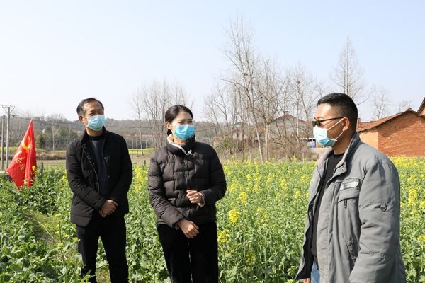 刘猴镇党委书记杨丽说:采取飞机飞防和机灌喷雾的方式进行大田的小麦