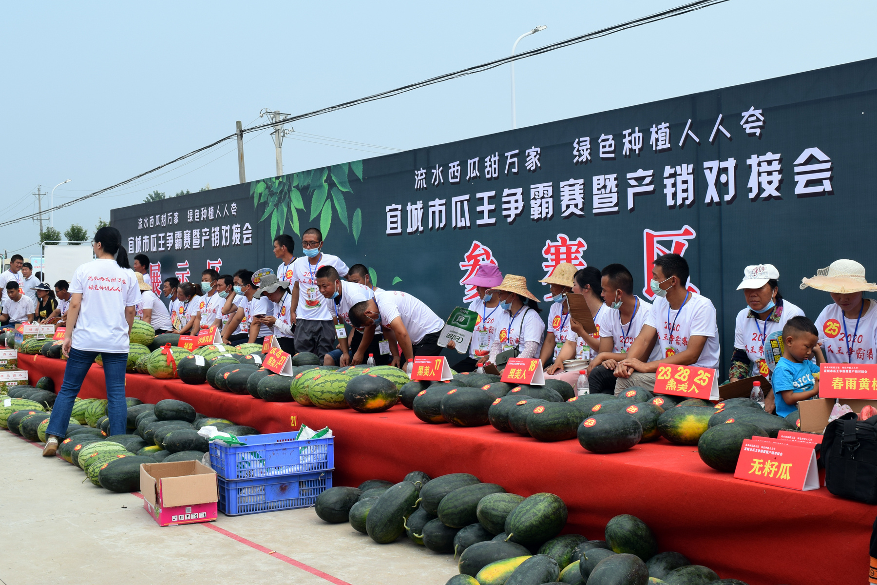 近年来,湖北省宜城市流水镇致力于搭建产业致富平台,激发贫困户内生