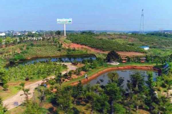 宜城流水镇落实绿满襄阳行动着力打造绿满流水