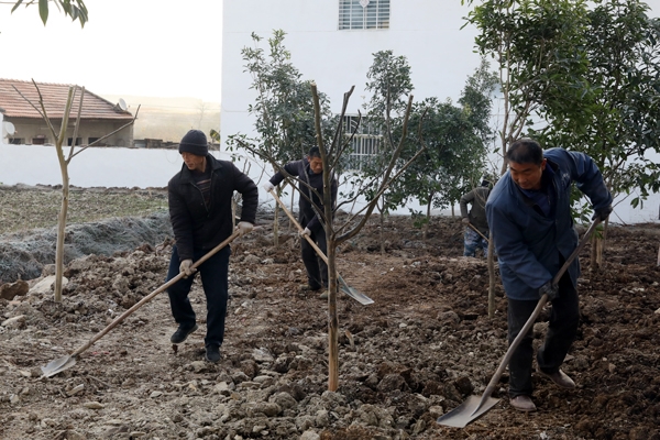 美丽乡村入画来宜城市美丽乡村补短板强弱项建设拉练侧记