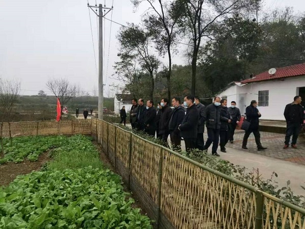 乡村振兴百日攻坚刘猴镇开展美丽乡村建设现场观摩活动