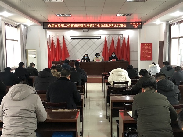宜城市委第二巡察组向孔湾镇村级党组织反馈巡察情况