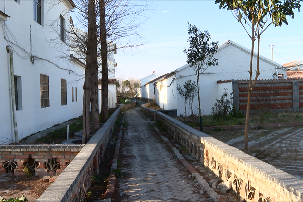 乡村振兴百日攻坚郑集镇美丽乡村建设因地制宜尊重民意