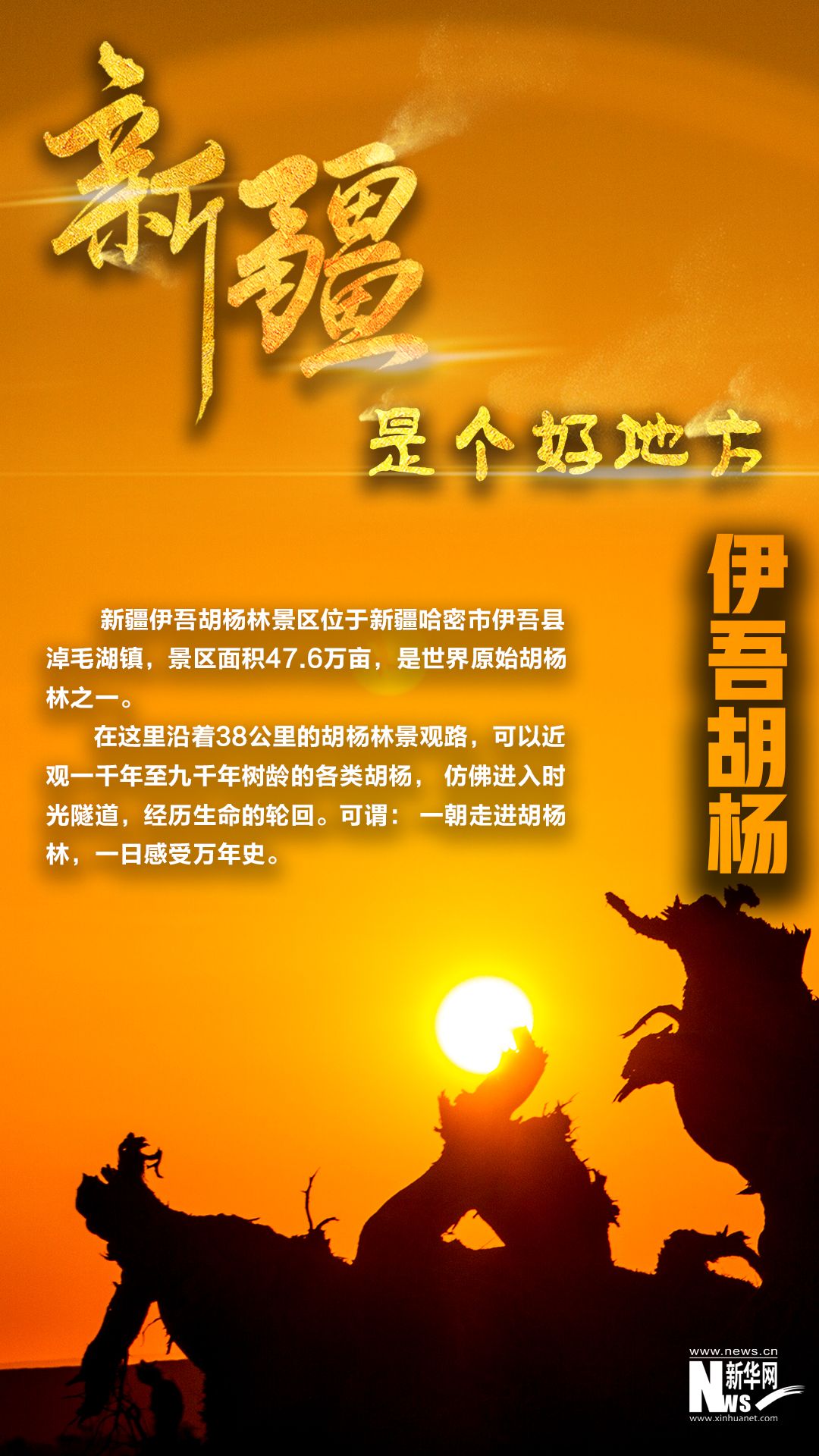 新疆是个好地方丨一组海报带你领略伊吾胡杨林之美