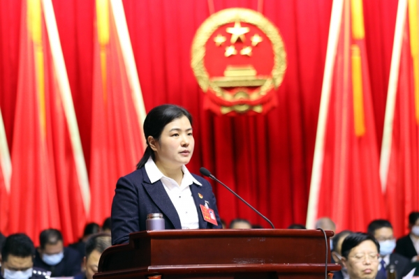 两会特别报道宜城市第七届人民代表大会第一次会议开幕