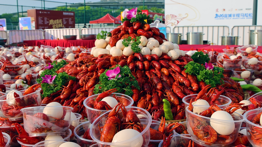 跑一场马拉松，爱上一座城——2026宜城半马的“福地”密码(1)(1).doc