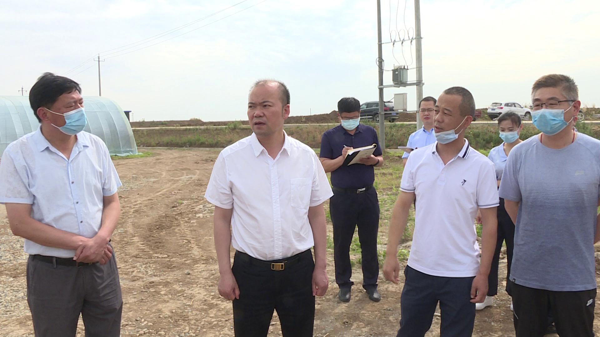 张学林为张集镇精准扶贫和美丽乡村建设工作"划重点"_云上老河口