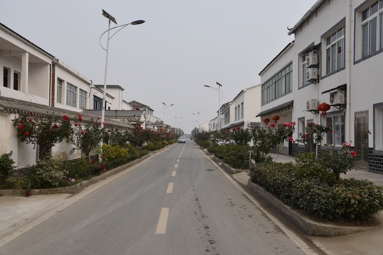 老河口绿岛王府洲田园风光美如画