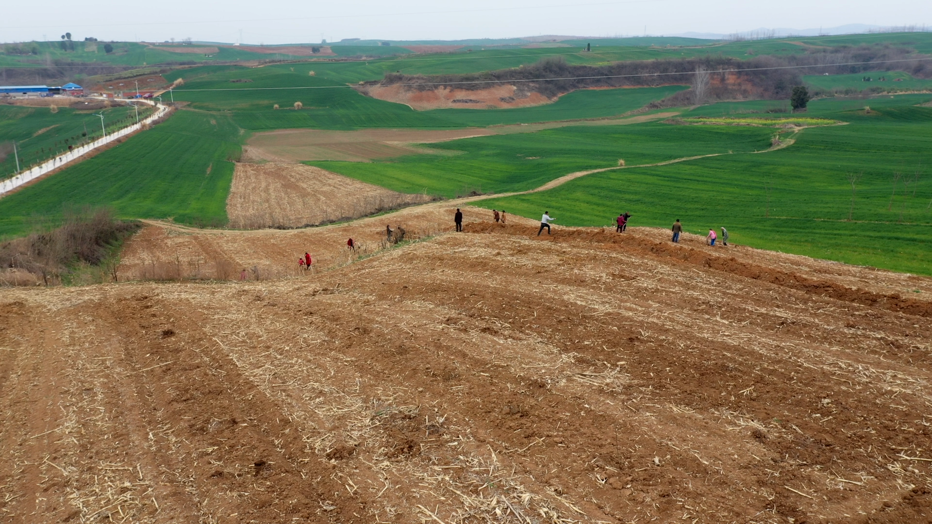 袁冲乡吴家营村:产业发展旺起来 集体经济"牛"起来_云上老河口