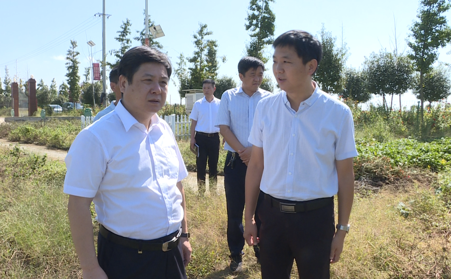 曹祖金调研乡村振兴走访三类户