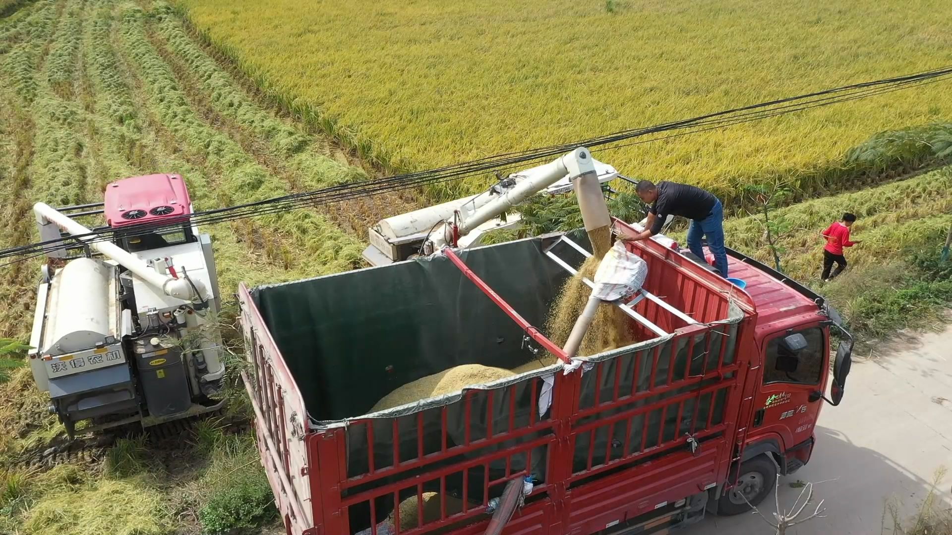 老河口:一渠清水润两岸 提档升级保丰收 _长江云 - 湖北网络广播电视