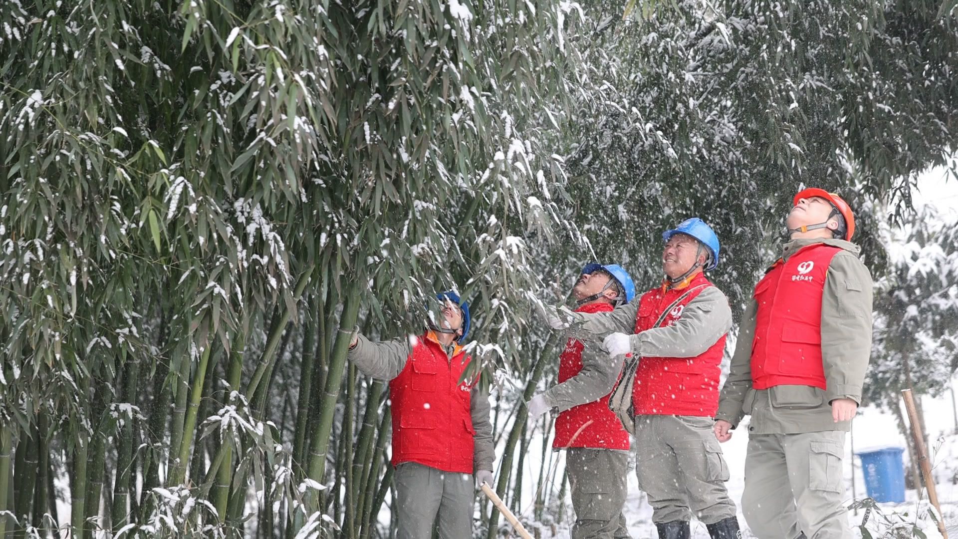 湖北老河口踏雪巡線保供電