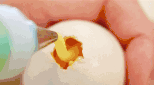 600_330gif 动态图 动图