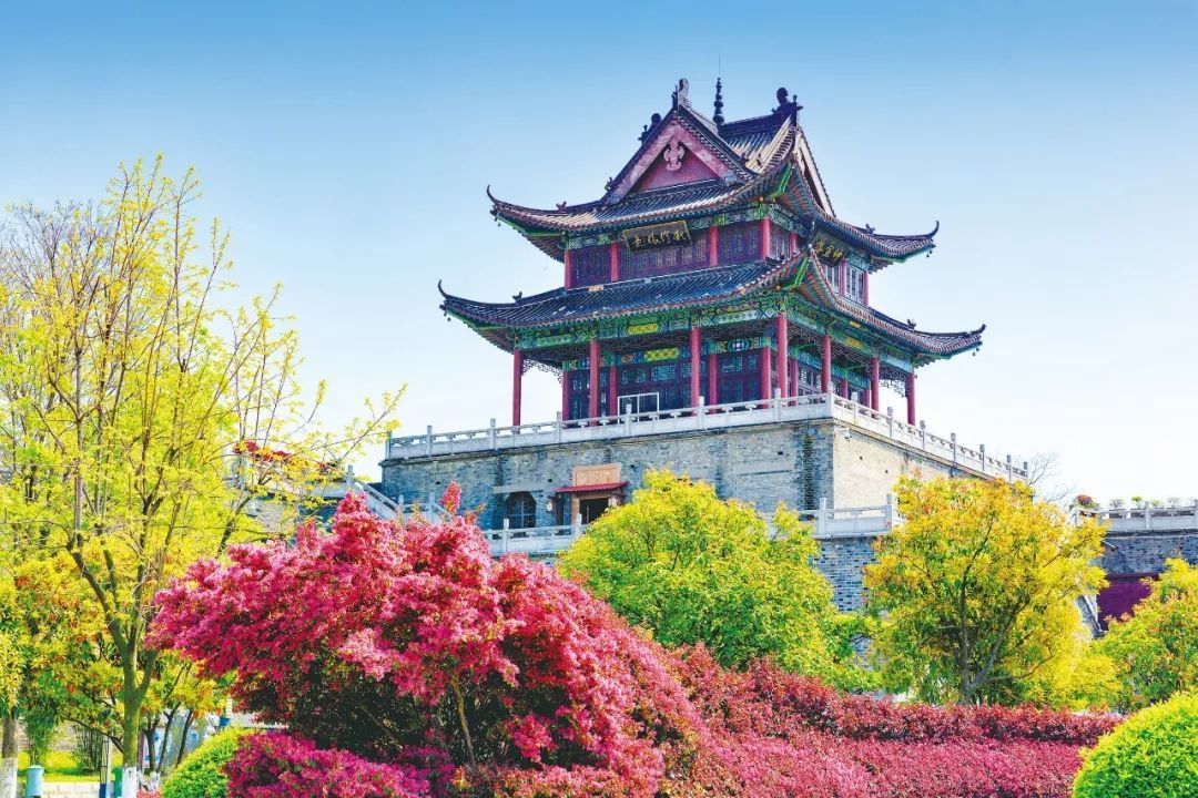 踏雪寻梅正当时一起来欣赏襄阳的梅丽雪景吧