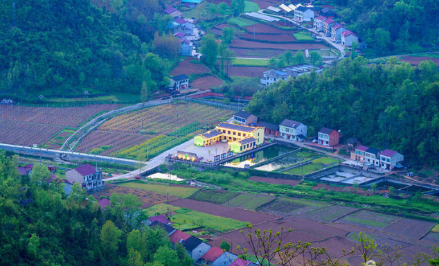 5月31日美丽乡村行再出发南河镇苏区村来了