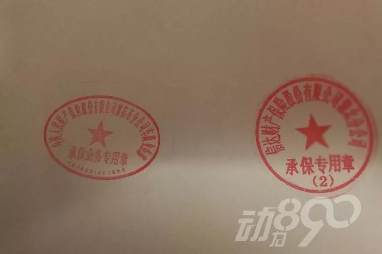 车主购买它罚款1000元还要拘留襄阳人长点心吧