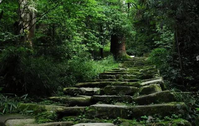 湖北惊艳世界的八条绝美古道你都去过吗