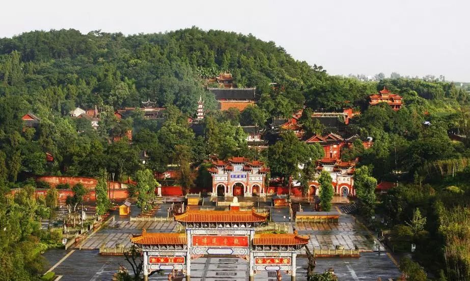 543路,512路,隆中旅游专线中华紫薇园8路,25路真武山28路,530路,546路