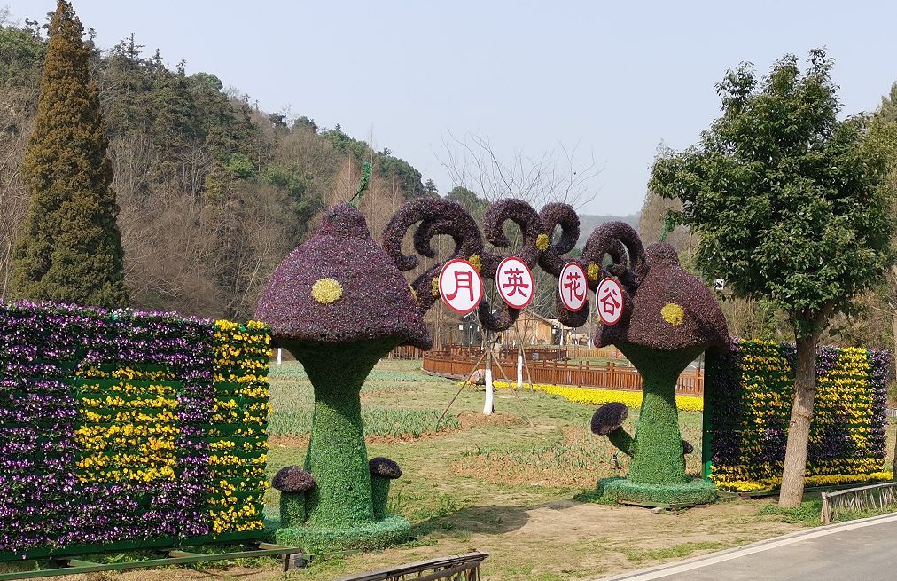 告诉你为什么古隆中景区对军人免费