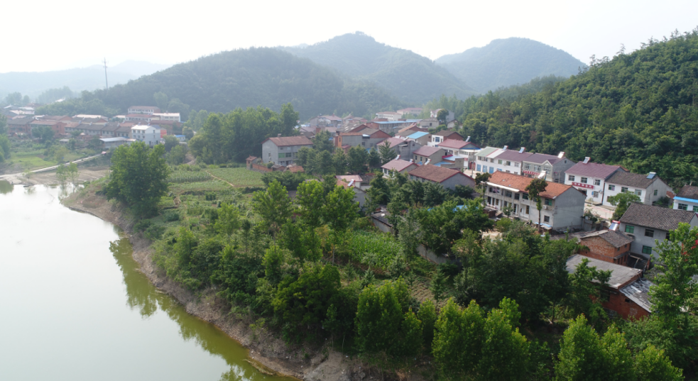 南漳:发展葡萄种植 建设美丽乡村_汉水襄阳