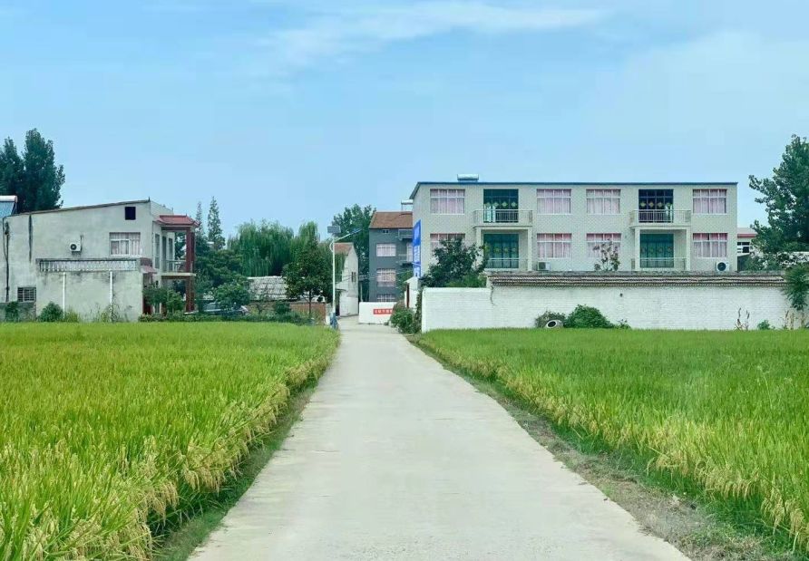 尹集乡的这个村变化大只因村民们都做了这事