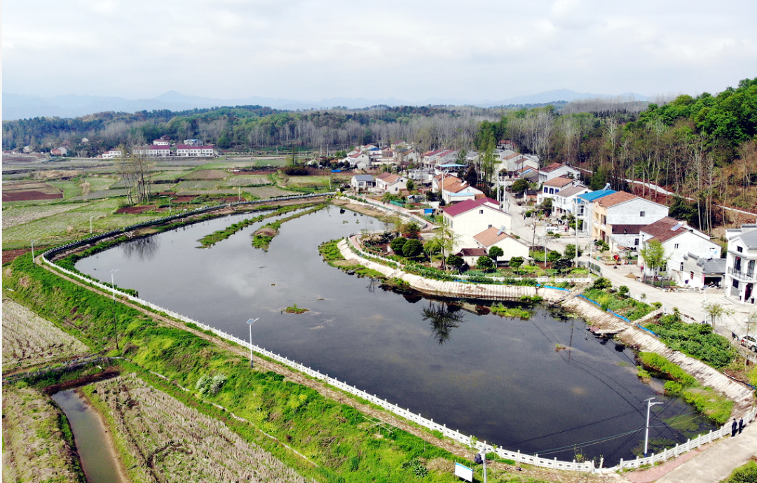 今日襄城惹人醉 美丽乡村入画来_云上襄阳