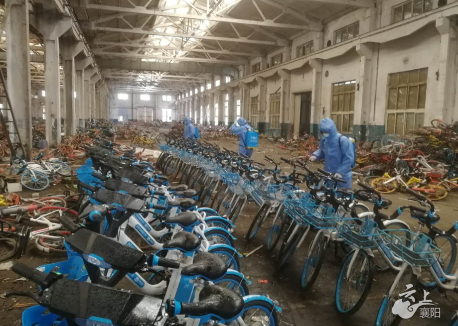 全媒体记者:任哈雷 / 通讯员:胡倩倩编辑:苏琦琦 / 校对:张天泽