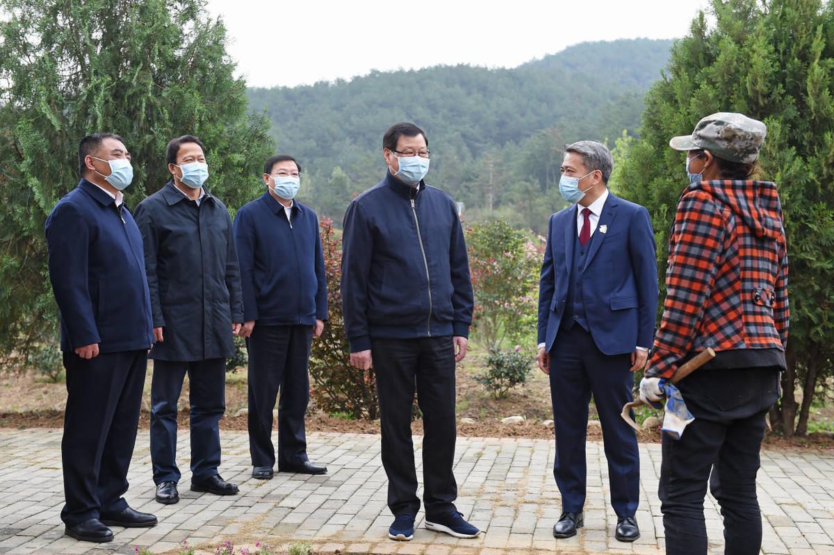 大别山麓,草木葱茏,罗田县骆驼坳镇燕窝垸村一派欣欣向荣.