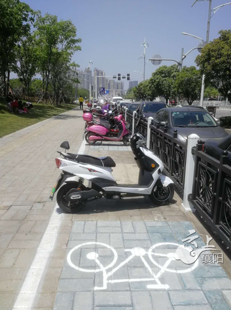 魚梁洲環島景觀帶有三車停車位啦在這裡