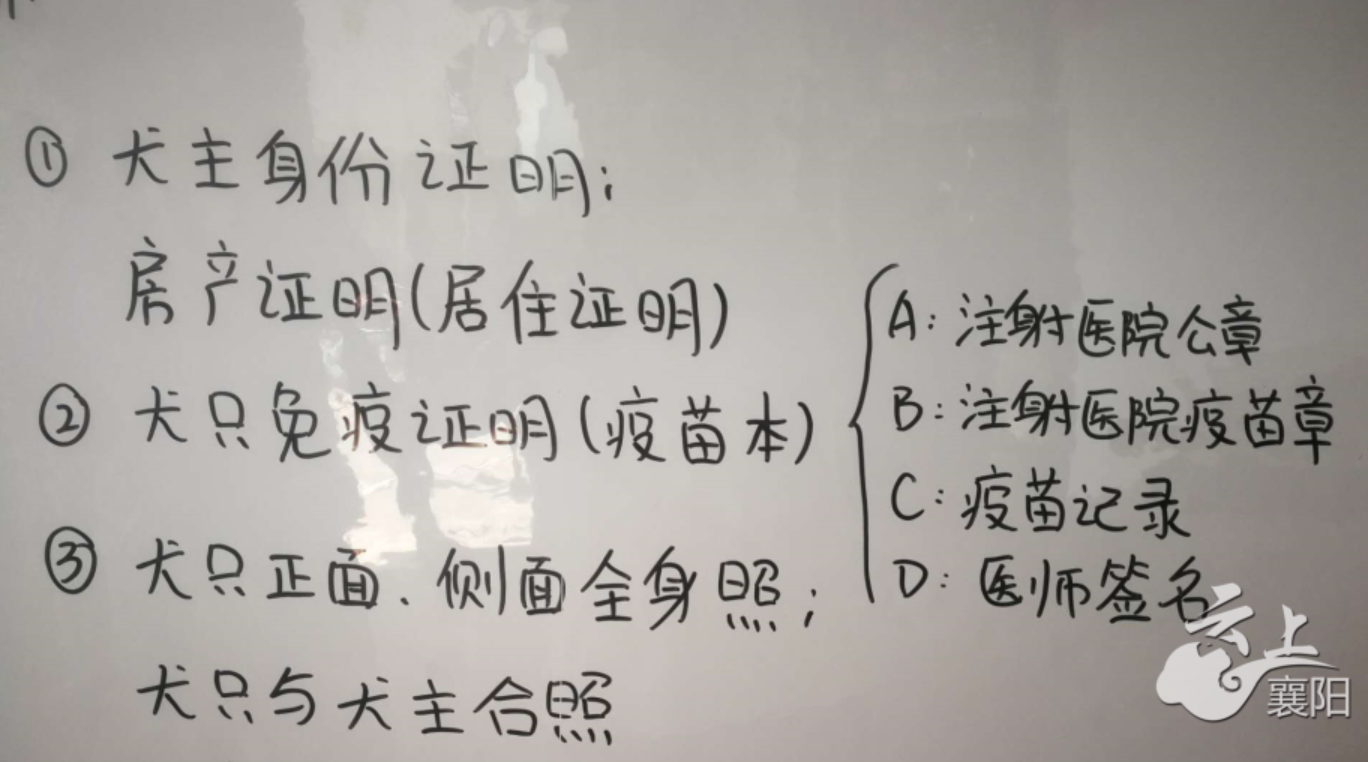 為何狗狗打過疫苗領不到免疫證相關部門寵物美容機構打的疫苗一概不認