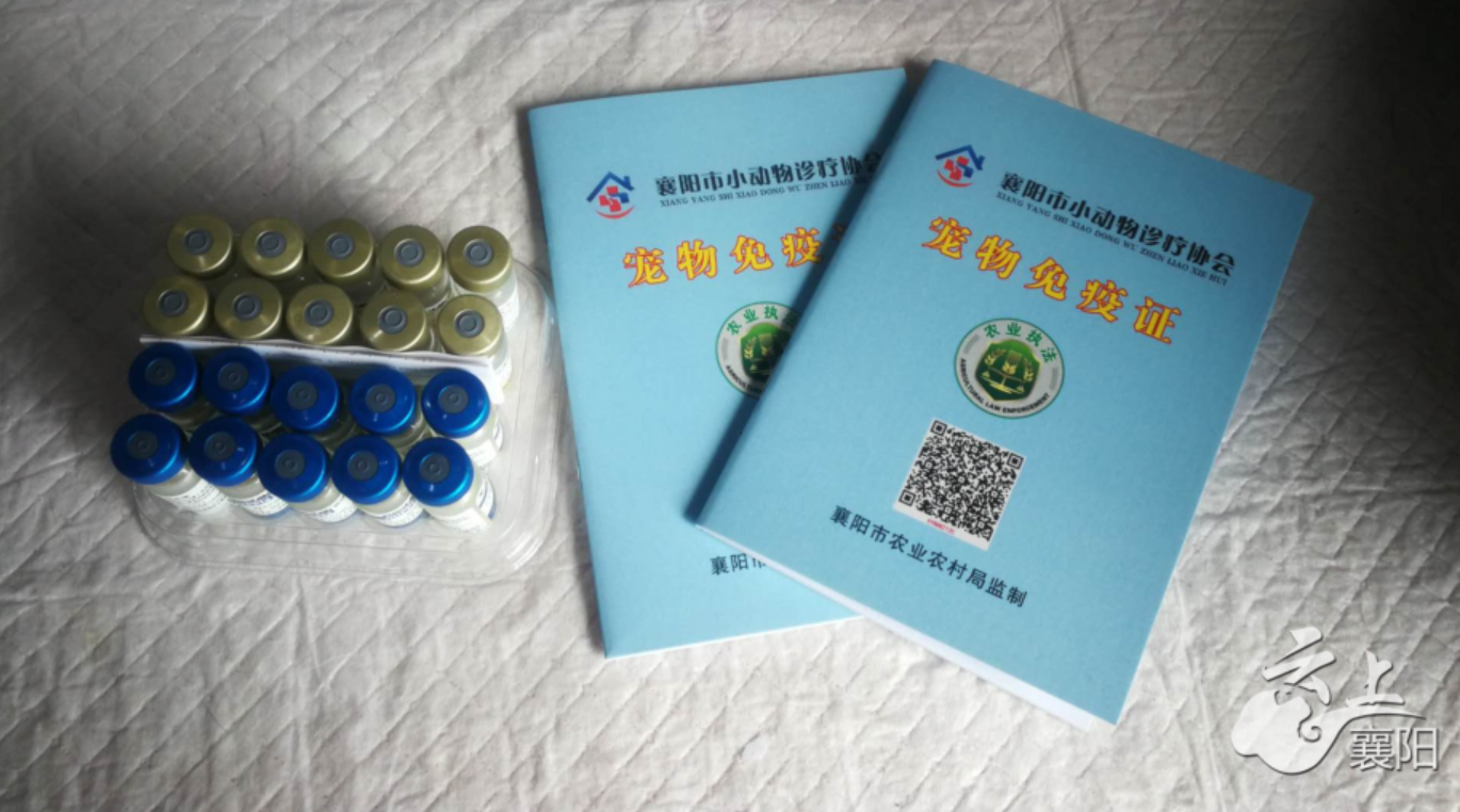 为何狗狗打过疫苗领不到免疫证相关部门宠物美容机构打的疫苗一概不认