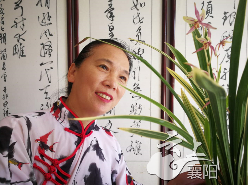 杨晓琳我为襄阳的花写诗著书