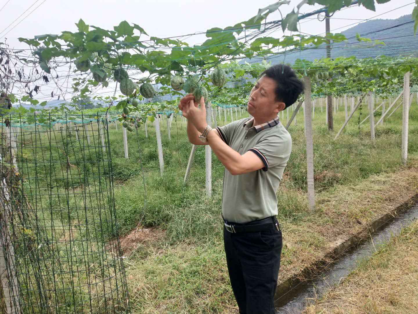 南漳县东巩镇财政所认真兑现文明服务承诺