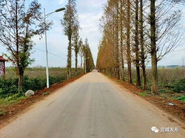 看宜城流水镇的乡村振兴路