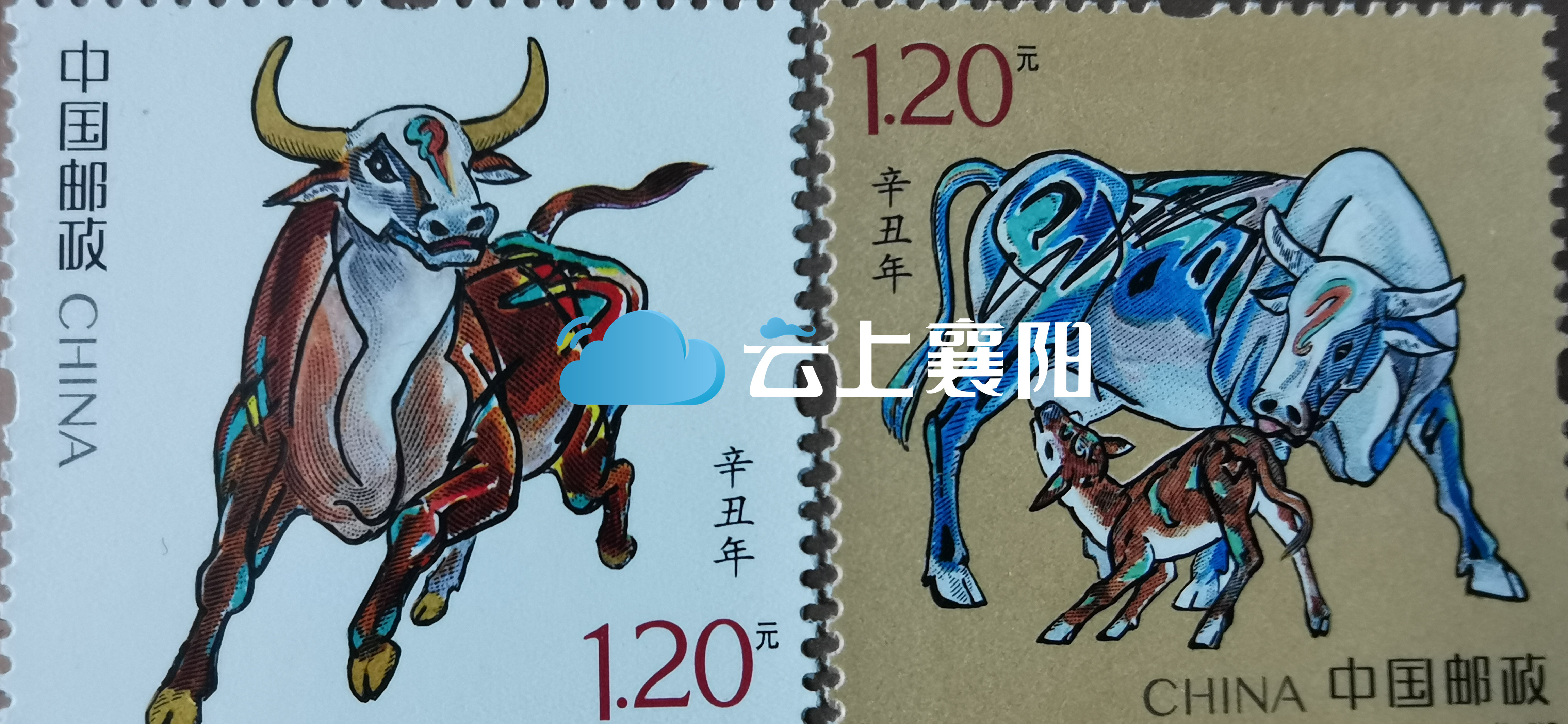 牛年邮票图案图片