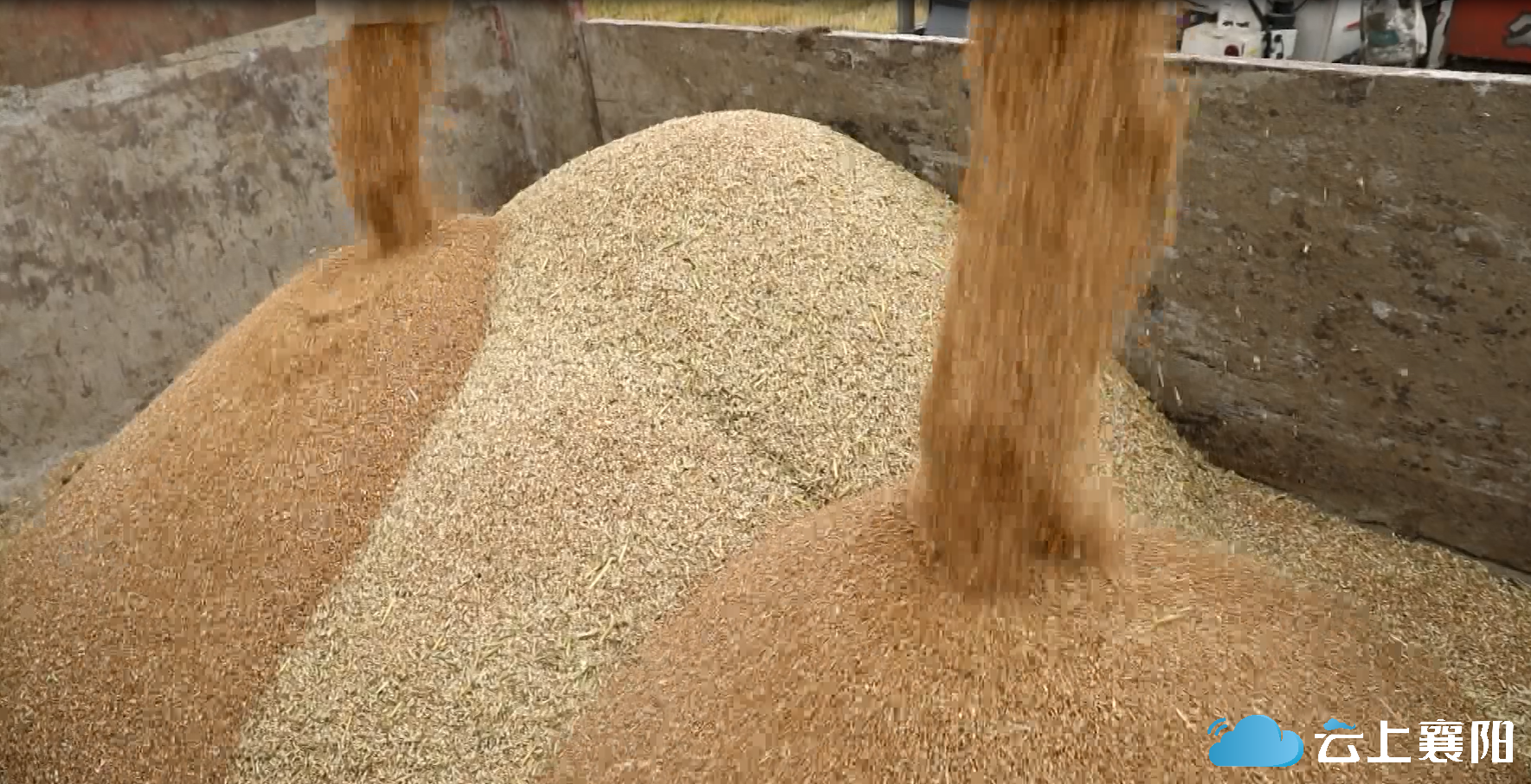 记者:敖雪 | 通讯员:刘毅 钟军编辑:曾嘉怡 | 校对:魏海峰责编:姚城