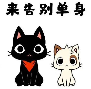 安排襄阳版非诚勿扰来了