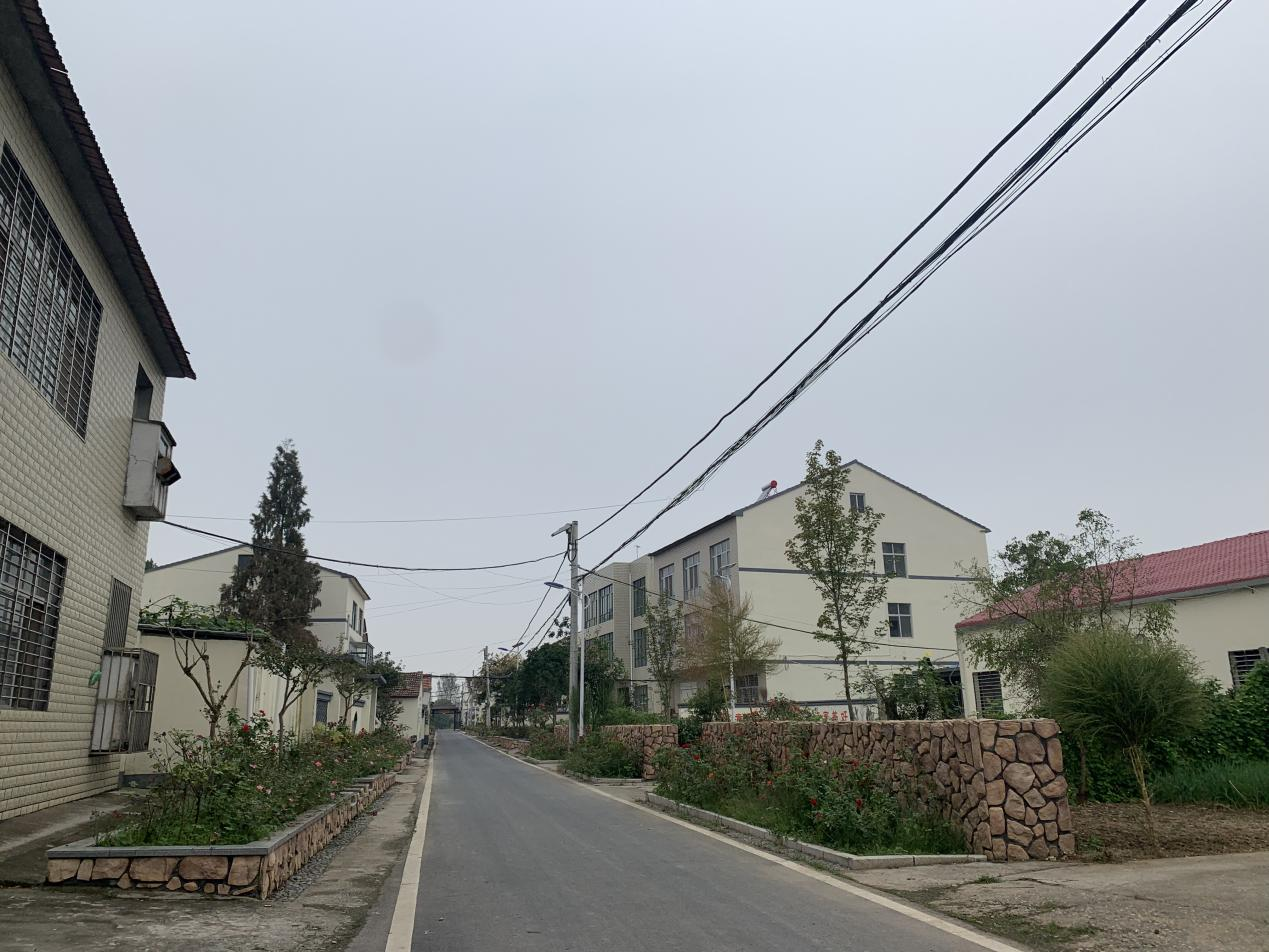从襄阳市区开车只要20多分钟,就能到达樊城区牛首镇的花园村.
