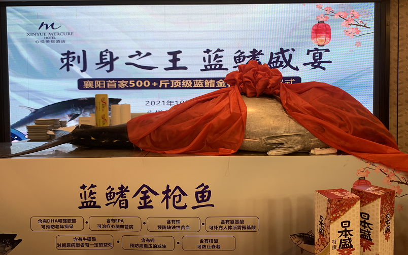 500斤顶级蓝鳍金枪鱼开鱼盛宴襄阳首秀
