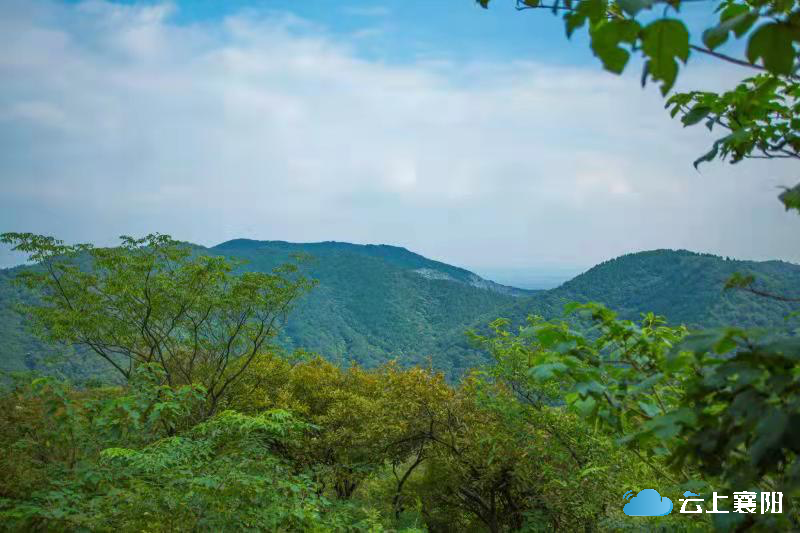 湖北峴山國家森林公園植被比較茂密,綠道路燈儲能有限,導致到凌晨就