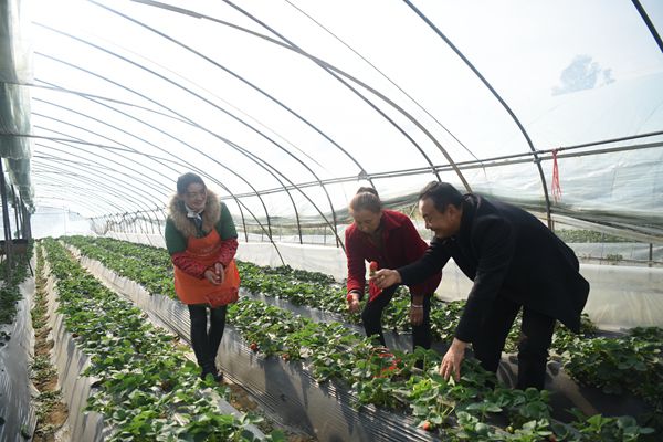 清廉湖北丨白鶴崗村生態宜居鄉風文明的清廉村居樣本