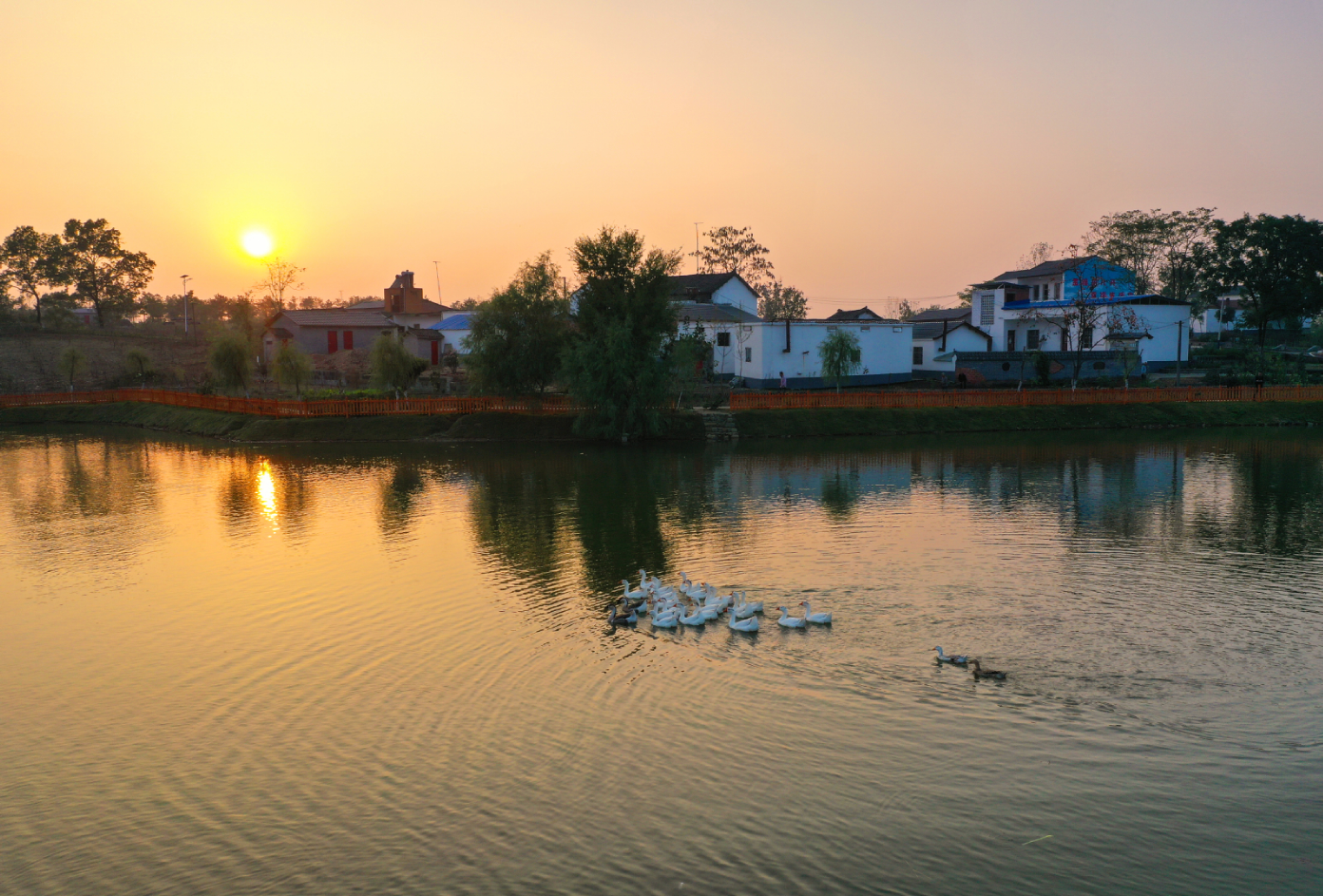 枣阳市王城镇夕阳余晖摄影:钟华枣阳市王城镇美丽乡村摄影:钟华枣阳市