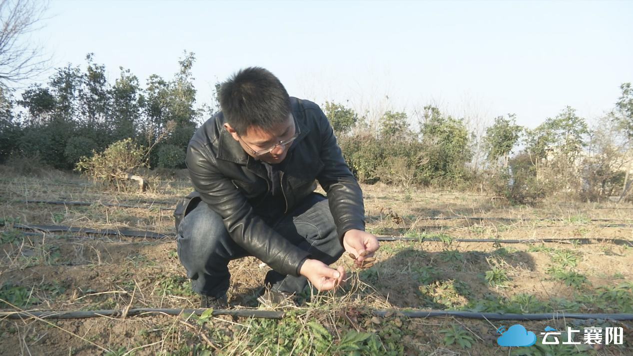 我的履职清单陈风雷一心为农为民发声